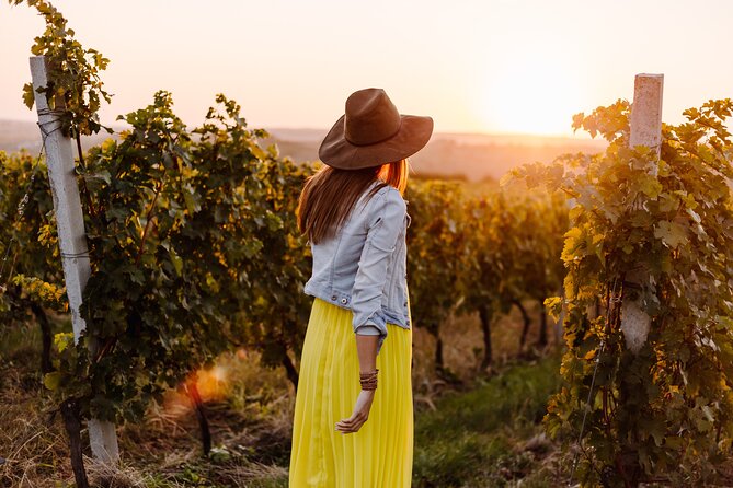 Napa or Sonoma Private Wine Tour from San Francisco - The Napa Valley Part: Letting Your Guide Shape the Winery Picks