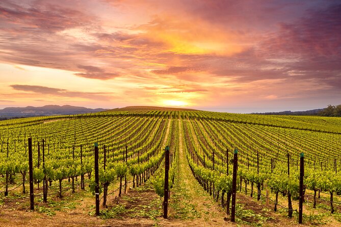 Napa or Sonoma Private Wine Tour from San Francisco - Tickets, Fees, and Tasting Reality: What’s Included vs What You’ll Pay