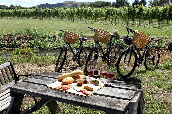 Napa or Sonoma Private Wine Tour from San Francisco - Who Should Book This Napa or Sonoma Private Tour?