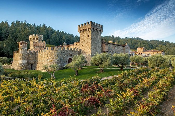Napa Valley Wine and Food Tasting Tour from San Francisco - Downtown Napa: 1 Hour to Eat, Shop, and Stop Thinking About the Schedule