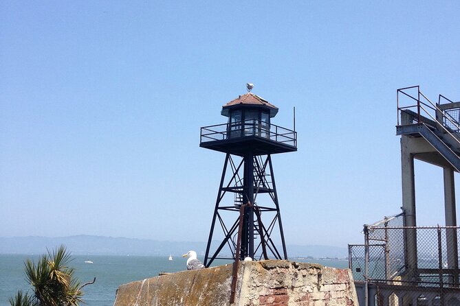 Official Alcatraz Tour Ticket with Ferry Rides From Pier 33 - Logistics That Matter at Alcatraz (And How to Handle Them)