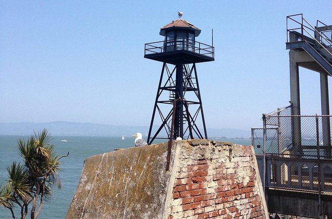Official Alcatraz Tour with Golden Gate Bridge Bay Cruise - Price and Value: Why $148 Feels Different Than It Looks