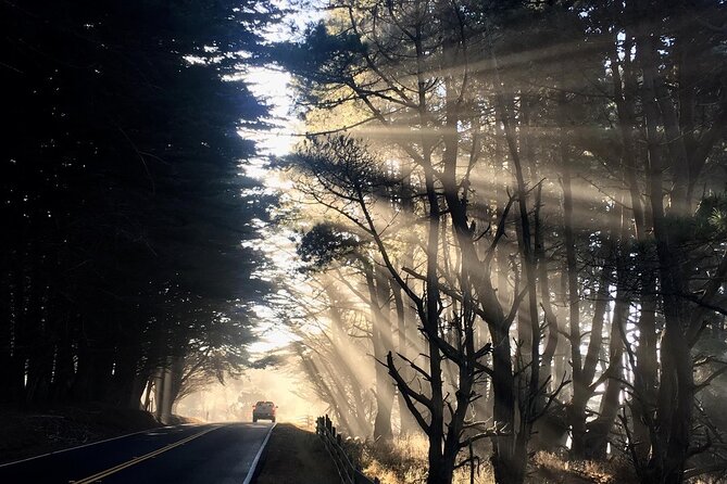 Picture your best SF tour ever! (Epic Bay Area photo adventures) - Phone photography coaching: what you actually learn