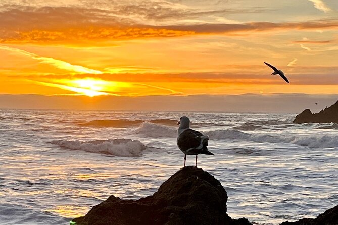 Picture your best SF tour ever! (Epic Bay Area photo adventures) - How the timing makes San Francisco photos look like a pro job