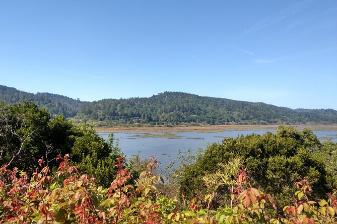 Point Reyes National Seashore Self Guided Driving Audio Tour - Drakes Estero: marsh views plus a real trail choice