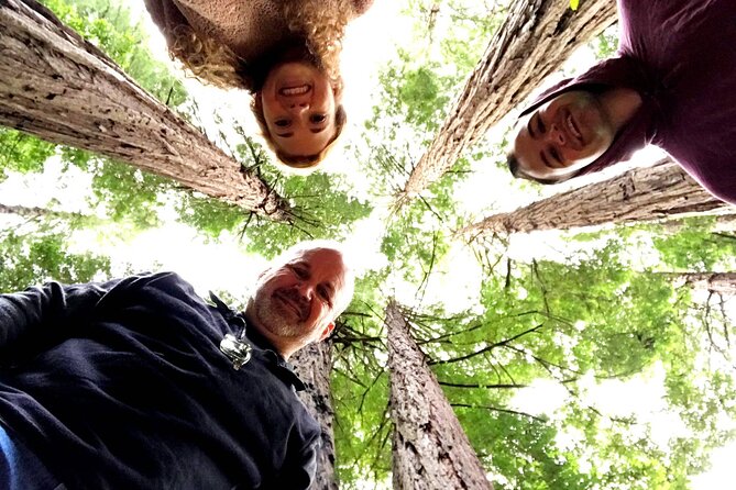Private Full-Day San Francisco City Tour with Muir Woods (Max 6) - Key highlights that make this tour work