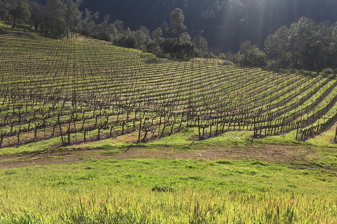 Private Group Wine Tour of Napa and Sonoma - Golden Gate Bridge Stop: The Fast Photo Break That Sets the Mood