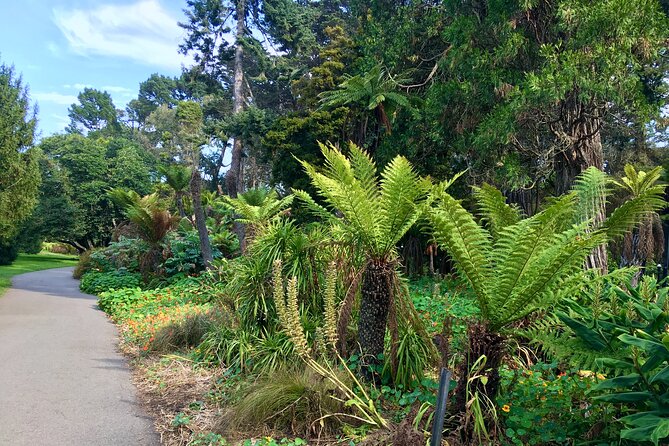 Private Guided Tour in San Francisco - Golden Gate Park: A Local Favorite Stop Before the Bridge