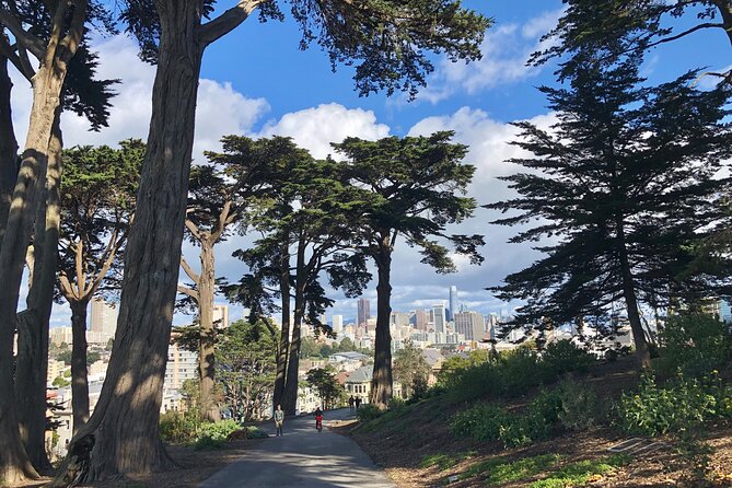Private Guided Tour in San Francisco - French-Speaking Local Guides: The Difference Maker