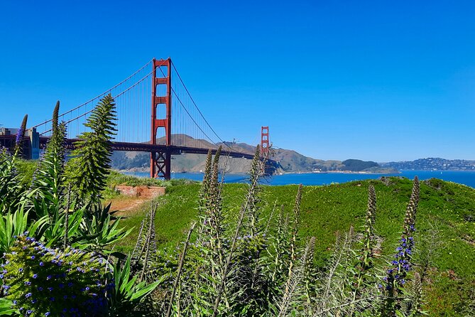 Private Guided Tour in San Francisco - Price and Logistics: Is $435 Good Value?