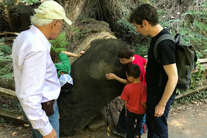 Private Muir Woods and Sausalito Half Day Tour - Private Muir Woods and Sausalito: what this tour gets right