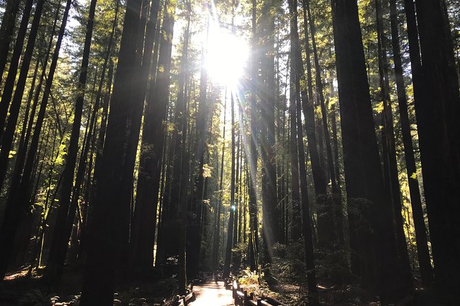 Private Muir Woods and Sausalito Half Day Tour - Private transportation and the 15-passenger van reality