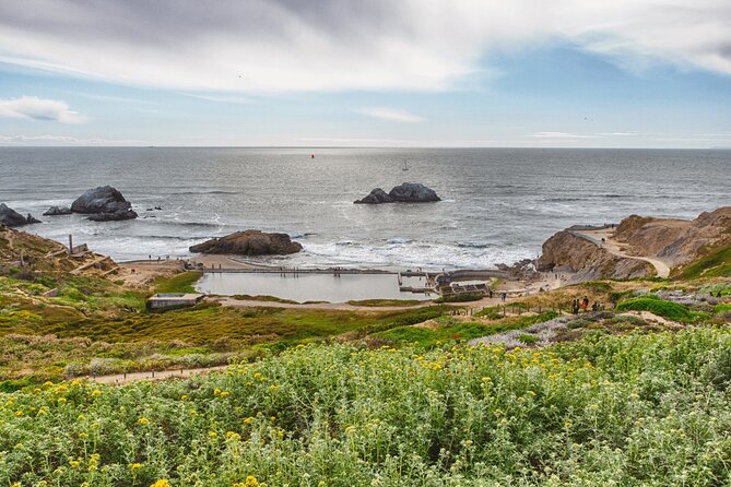 Private San Francisco City Tour and Muir Woods with Sausalito - Muir Woods: 90 minutes among giant redwoods