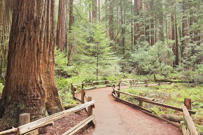 Private San Francisco City Tour and Muir Woods with Sausalito - Price and logistics: is $390 per person good value?