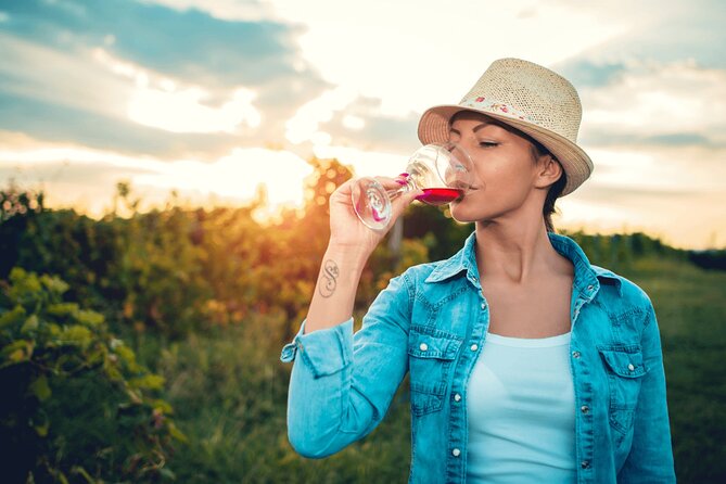 Private Tour: Napa and Sonoma Wine Country - Sonoma vineyards first: Nicholson Ranch and the flavor lesson