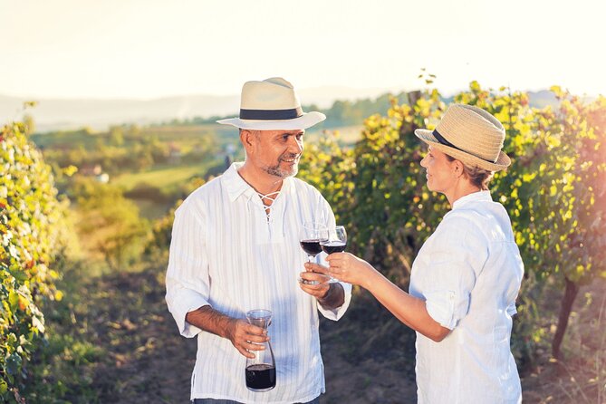 Private Tour: Napa and Sonoma Wine Country - Napa’s Carneros region: Madonna Estate and natural farming