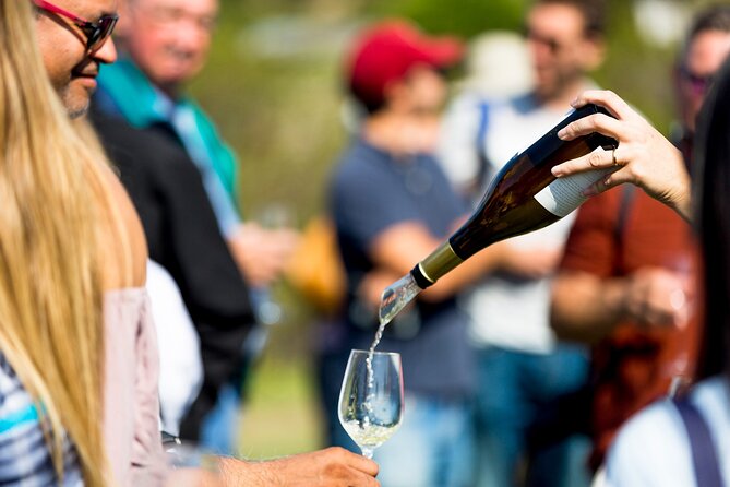 Private Tour: Napa and Sonoma Wine Country - Timing and pacing: what a 9-hour day really means
