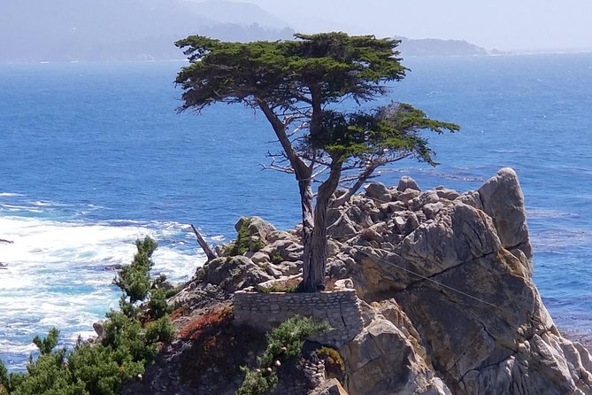 Private Tour to Monterey, Carmel, 17-Mile Drive, Pebble Beach - Key things that make this day trip work