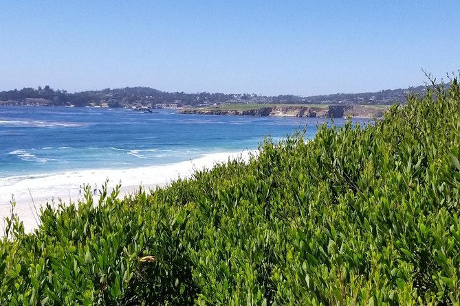 Private Tour to Monterey, Carmel, 17-Mile Drive, Pebble Beach - 17-Mile Drive: the included scenic route you’ll remember