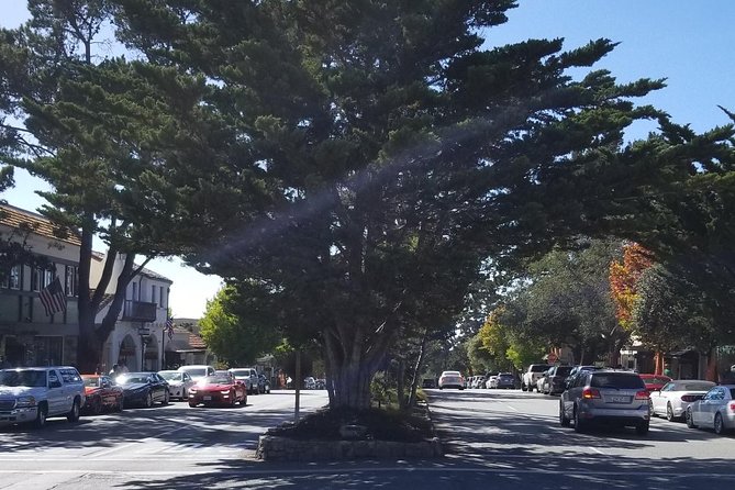 Private Tour to Monterey, Carmel, 17-Mile Drive, Pebble Beach - Garlic in Gilroy: a silly stop that’s actually useful