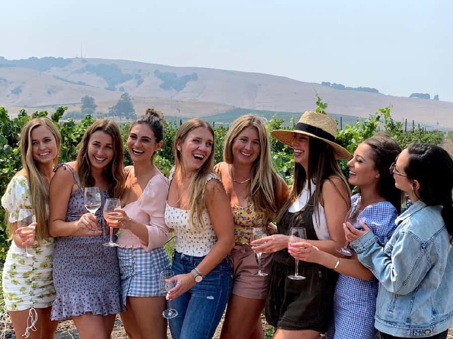 Private Wine Tour to Napa & Sonoma from San Francisco - Napa Valley + Sonoma: How You’ll Fit Two Regions Into One Tour