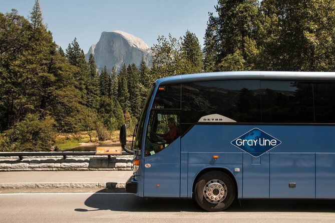 Private Yosemite National Park Day Trip from San Francisco - What you can do with your 3 hours of freedom