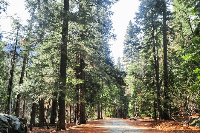 Private Yosemite National Park Day Trip from San Francisco - How the free shuttle can stretch your time (without stress)