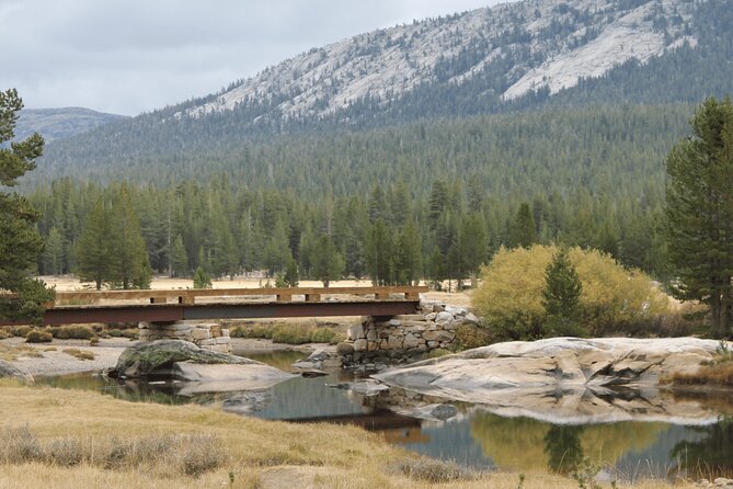 Private Yosemite National Park Day Trip from San Francisco - Price and value: is $685 per person worth it?