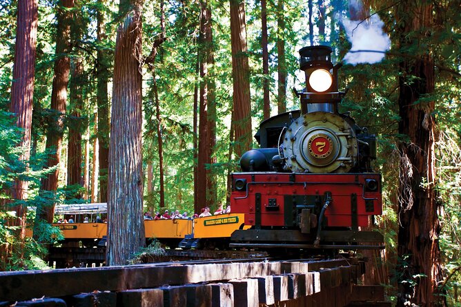 Redwood Forest, Santa Cruz Harbor 1-Day Trip from San Francisco - Quick highlights before you go