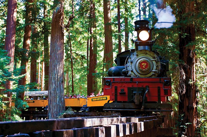 Redwood Forest, Santa Cruz Harbor 1-Day Trip from San Francisco - Santa Cruz Harbor: where the schedule slows down just enough
