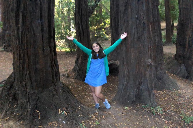 Redwoods of Marin and Mt. Tamalpais Walking Tour with Local Guide - Redwood calm in Marin, without the big-tour chaos