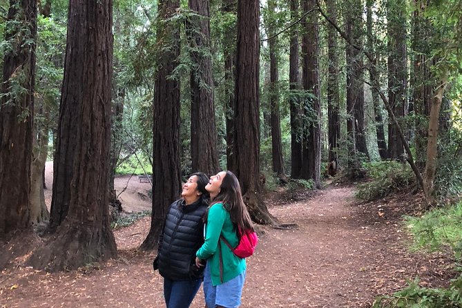 Redwoods of Marin and Mt. Tamalpais Walking Tour with Local Guide - Is the value good? Here’s what you’re really paying for