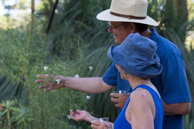 Ruth Bancroft Garden General Admission Ticket - Ruth Bancroft Garden is a smart, low-stress plant break near Oakland