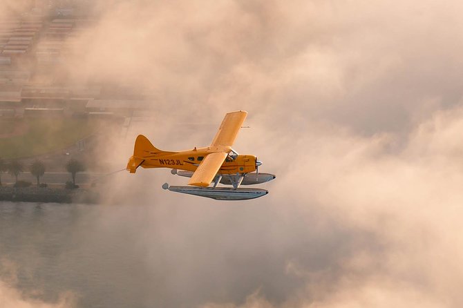 San Francisco 1-Hour Seaplane Tour - Point Reyes and Tomales Bay: Cows, Beaches, and Point Reyes Light
