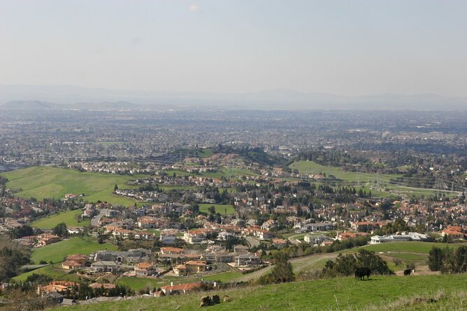 San Francisco Airport Transfer to SFO City (Special Offer) - The Ride Into the City: Private, Air-Conditioned, and Bag-Friendly