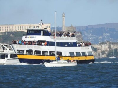 San Francisco: Alcatraz Island & Chinatown Walking Tour - The Bay ferry to Alcatraz: views, timing, and not overthinking it
