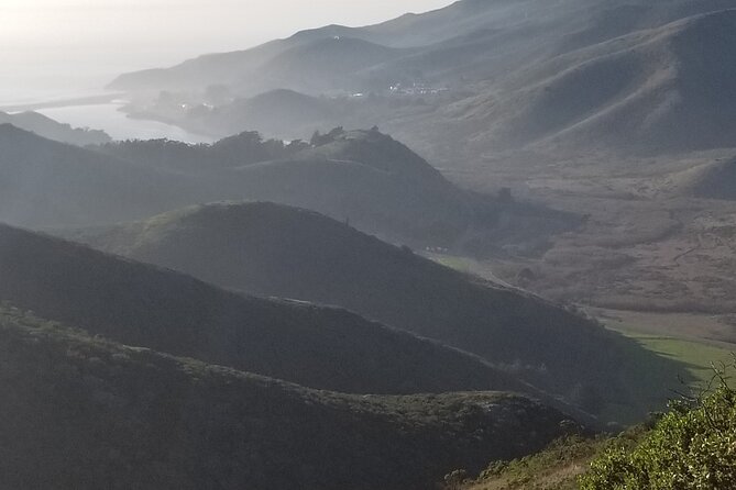 San Francisco Bay Cruise, Muir Woods and Sausalito Combo Tour - Marin County viewpoints en route to the redwoods