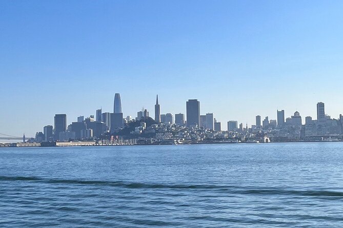 San Francisco Bay Cruise, Muir Woods and Sausalito Combo Tour - Muir Woods National Monument: your 80 minutes among coastal sequoias