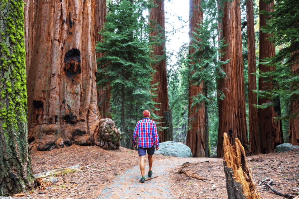 San Francisco: Bike Tour with Muir Woods and Sausalito Visit - Fort Mason, Marina, Crissy Field, Presidio: why those stops matter