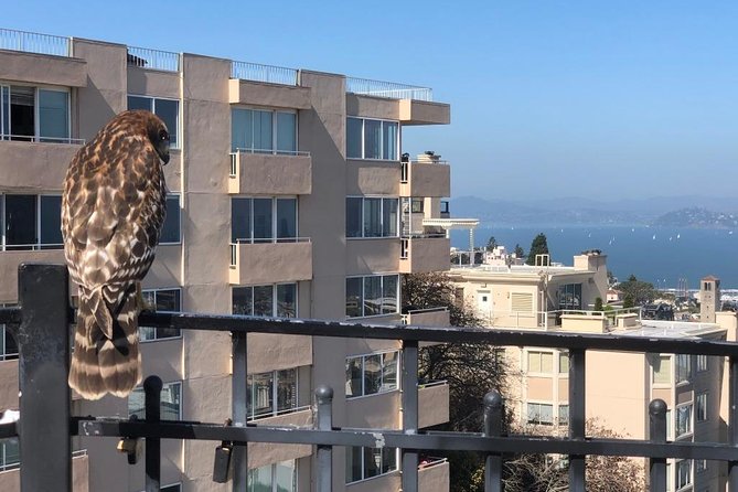 San Francisco Chinatown, Russian Hill, And North Beach Tour - Key highlights worth planning around