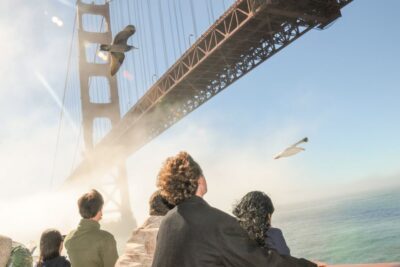 San Francisco: City Cruises Buffet Lunch or Dinner Cruise - Golden Gate, Alcatraz, and the Landmark Loop You Get for 2 Hours