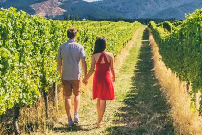 San Francisco: Full Day Coastal Redwoods & Wine Country Tour - Start at Big Bus Tours and get oriented fast