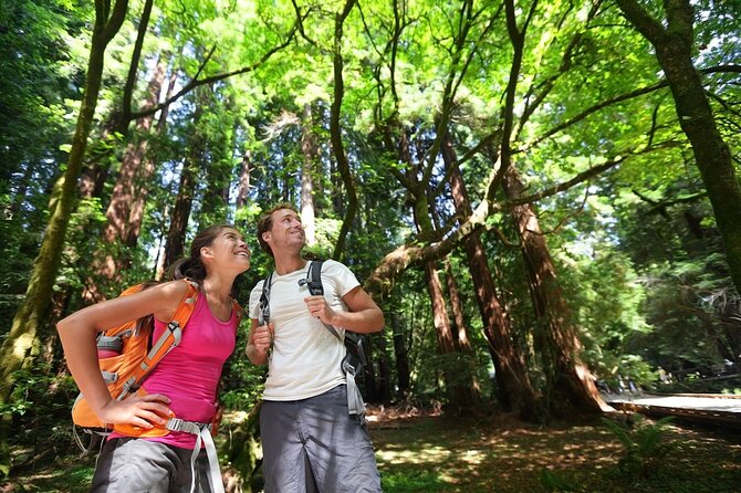 San Francisco: Full Day Coastal Redwoods & Wine Country Tour - Korbel Champagne Cellars: 1 hour of structured tasting