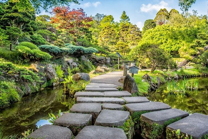 San Francisco Golden Gate Park Tour - Key highlights at a glance