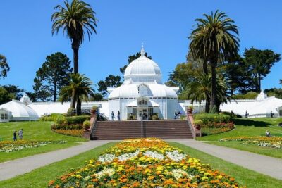 San Francisco Golden Gate Park Tour - Japanese Tea Garden: serenity that actually lands