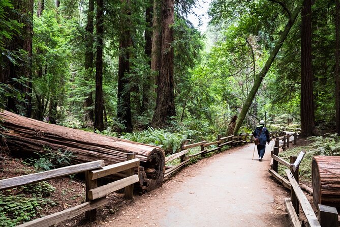 San Francisco, Golden Gate, Sausalito and Muir Woods Private Tour - Hotel pickup and timing: how the schedule stays workable