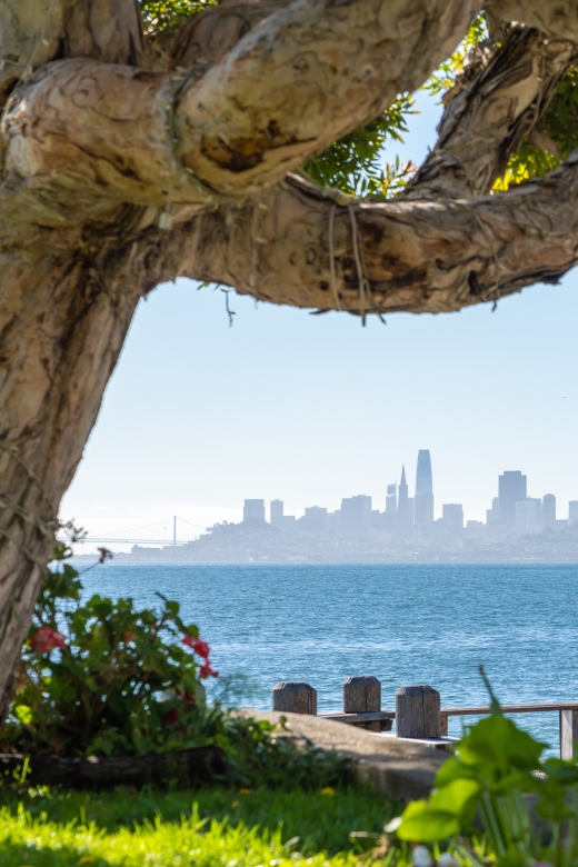 San Francisco Golden Gate Sausalito Muir Woods Private Tour - Muir Woods National Monument: the ancient trail walk (fee note included)