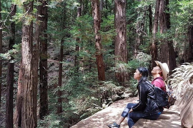 San Francisco: Guided Muir Woods Tour & Hop-on Hop-off Bus Tour - Key highlights worth planning for