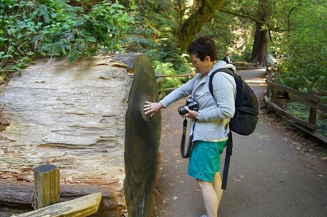 San Francisco: Guided Muir Woods Tour & Hop-on Hop-off Bus Tour - 24-Hour Hop-on Hop-off: Your On-and-Off City Route