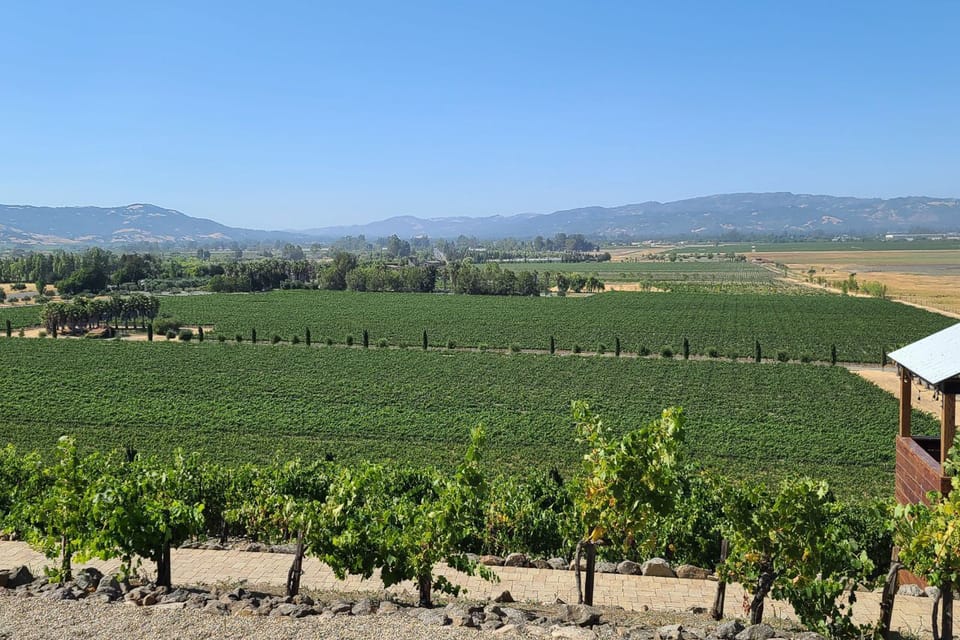 San Francisco: Half-Day Wine Tour with 2 Tastings Included - Crossing the Golden Gate to Sonoma Wine Country (Without Losing the Plot)